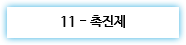 11 - 촉진제